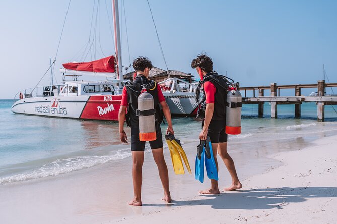 Half-Day Aruba Intro Diving Course for Beginners - Price, timing, and overall value