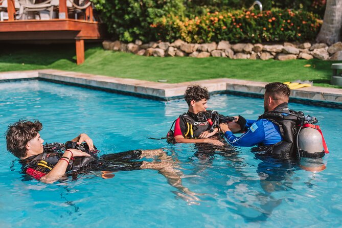 Half-Day Aruba Intro Diving Course for Beginners - Who will enjoy this Aruba course most?