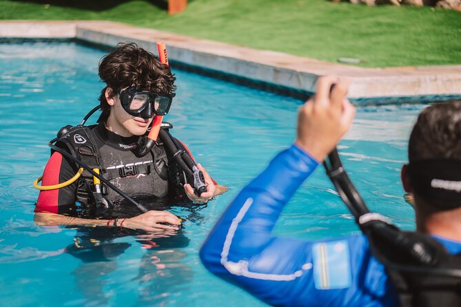 Half-Day Aruba Intro Diving Course for Beginners - My booking advice