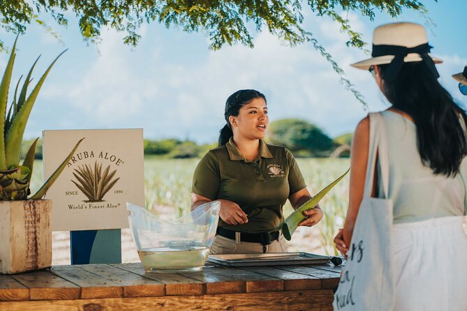 Half-Day Aruba Island Tour from Oranjestad - Quick reasons to consider this Aruba tour