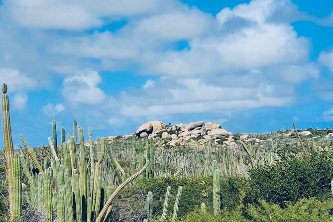 Half-Day Aruba UTV Adventure Tour - Four hours of Aruba by UTV