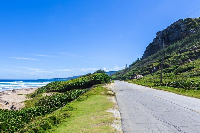 Half-Day Barbados Caves and Critters Tour with Pick Up - Why this half-day tour works beyond the beaches