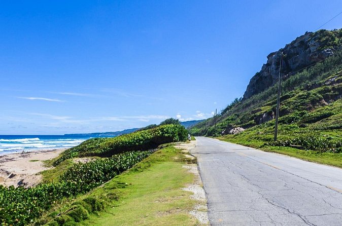 Half-Day Barbados Caves and Critters Tour with Pick Up - The timing question: feeding hour or a shortened visit