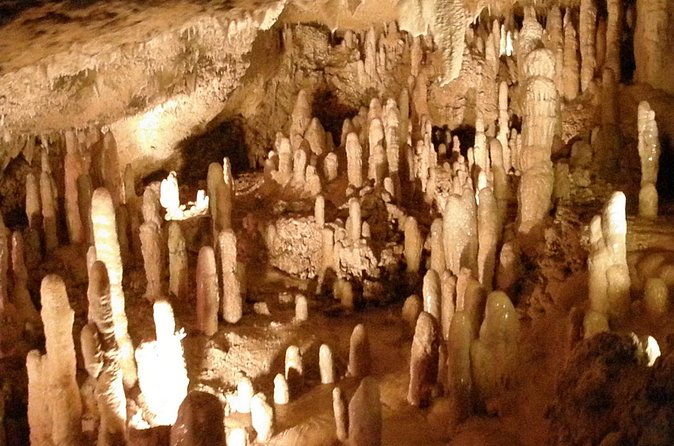 Half-Day Barbados Tour Harrisons Cave Hunte's Garden and Bathsheba - What the drive adds, and what it may take away