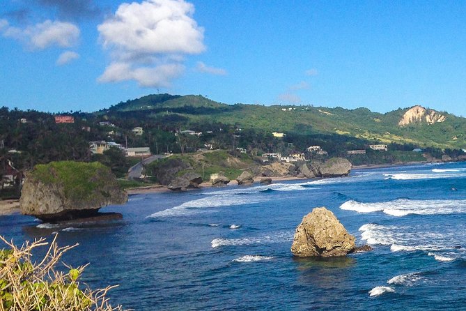 Half-Day Barbados Tour Harrisons Cave Hunte's Garden and Bathsheba - Timing, food, and group size