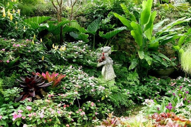 Half-Day Barbados Tour Harrisons Cave Hunte's Garden and Bathsheba - Harrison’s Cave: the best hour of the morning