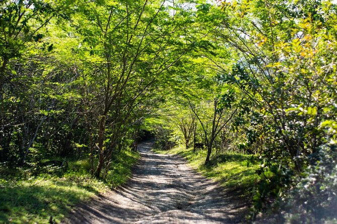 Half-Day Buggy Guided Adventure for Amber Cove and Taino Bay - Getting ready at the Maimon base