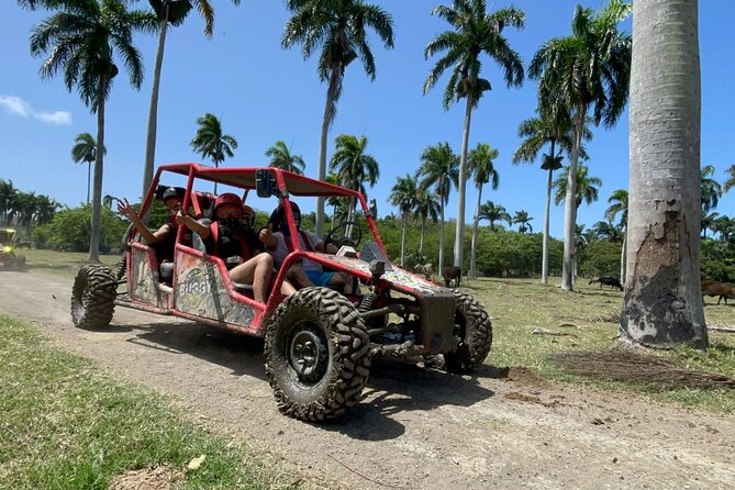 Half-Day Buggy Guided Adventure for Amber Cove and Taino Bay - Driving through Maimon and the Dominican countryside