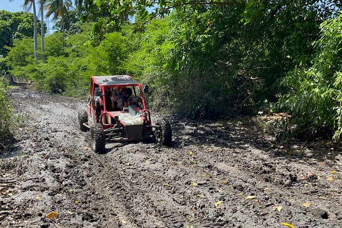 Half-Day Buggy Guided Adventure for Amber Cove and Taino Bay - Coffee, cocoa, cigars, and Mamajuana