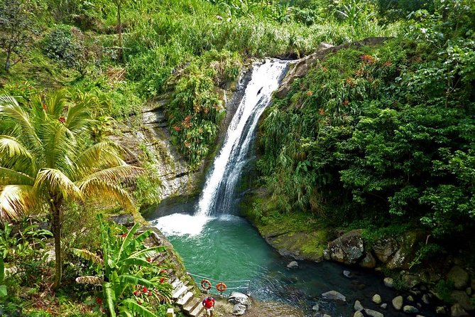 Half-Day Concord Waterfall and Chocolate Factory Tour - A fast, useful introduction to Grenada