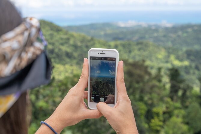 Half-Day El Yunque National Forest Tour from San Juan - El Yunque from San Juan, without the driving headache