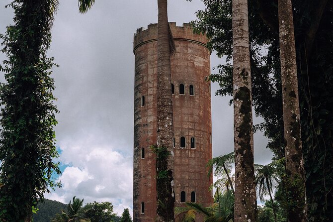 Half-Day El Yunque National Forest Tour from San Juan - La Coca Falls, the quick waterfall stop
