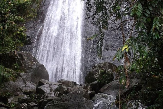 Half-Day El Yunque National Forest Tour from San Juan - Torre Yokahu and the eastern coast views