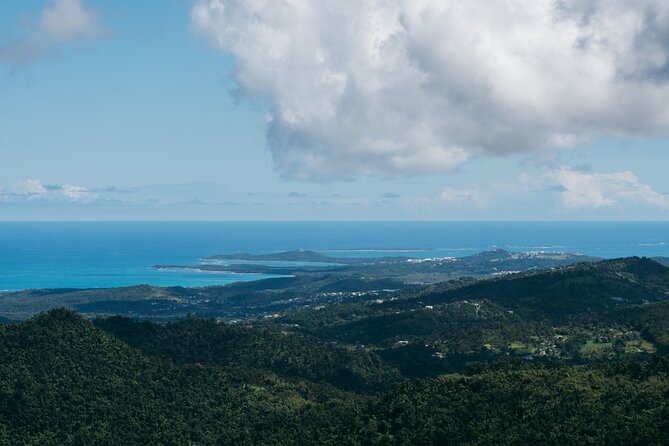 Half-Day El Yunque National Forest Tour from San Juan - How much time you really spend in the forest