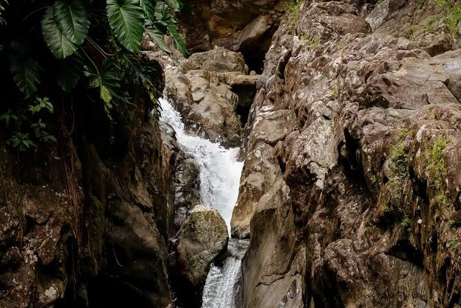 Half-Day El Yunque Waterslide Excursion (no Transportation) - How much value do you get for $21?