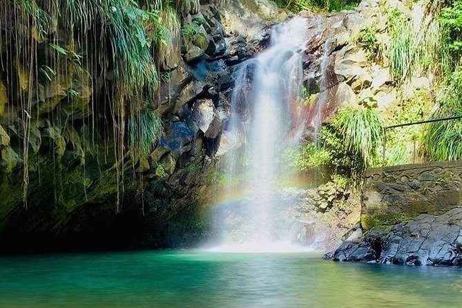 Half-Day Grenada River Tubing -Grand Etang & Annandale Falls - Annandale Falls starts the day with a splash