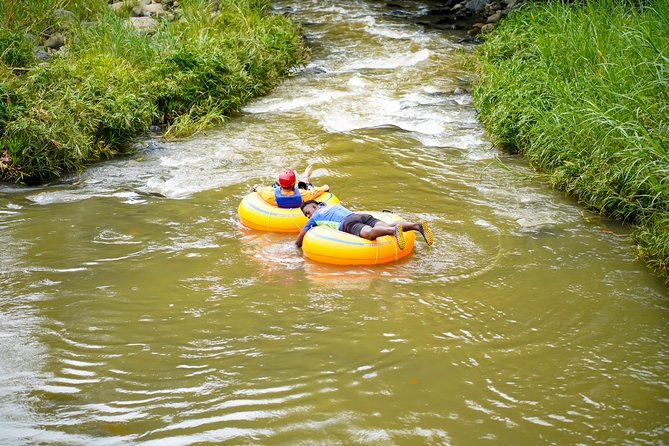 Half-Day Grenada River Tubing -Grand Etang & Annandale Falls - Who will enjoy this Grenada combination tour