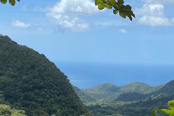 Half Day Grenada Seven Sisters, Grand Etang Nature Center Hiking Tour - Key points to know before you book