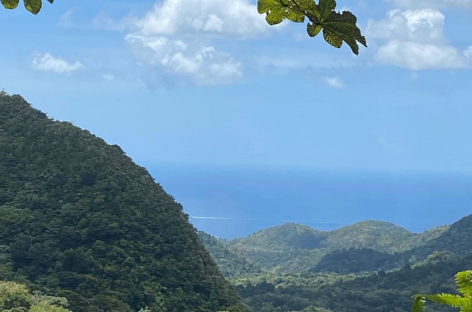 Half Day Grenada Seven Sisters, Grand Etang Nature Center Hiking Tour - What to wear and bring for the trail