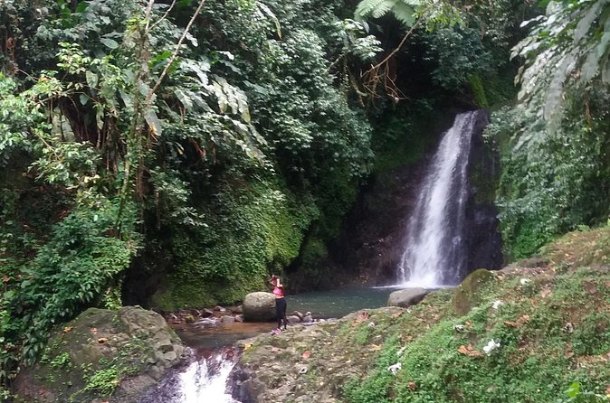 Half Day Grenada Seven Sisters, Grand Etang Nature Center Hiking Tour - Who will enjoy this tour most