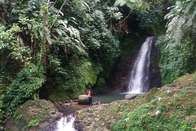 Half Day Grenada Seven Sisters, Grand Etang Nature Center Hiking Tour - Reaching Seven Sisters Falls