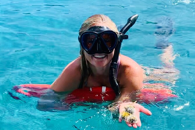 Half Day Luxury Catamaran Turtle Snorkel And Beach - At a glance