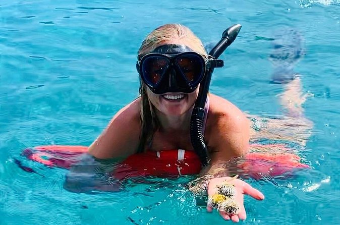 Half Day Luxury Catamaran Turtle Snorkel And Beach - Who should book this trip