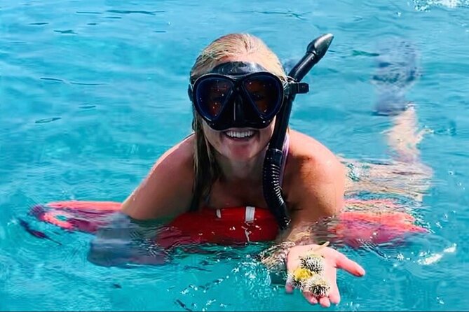 Half Day Luxury Catamaran Turtle Snorkel And Beach - Honeymoon Beach on Water Island