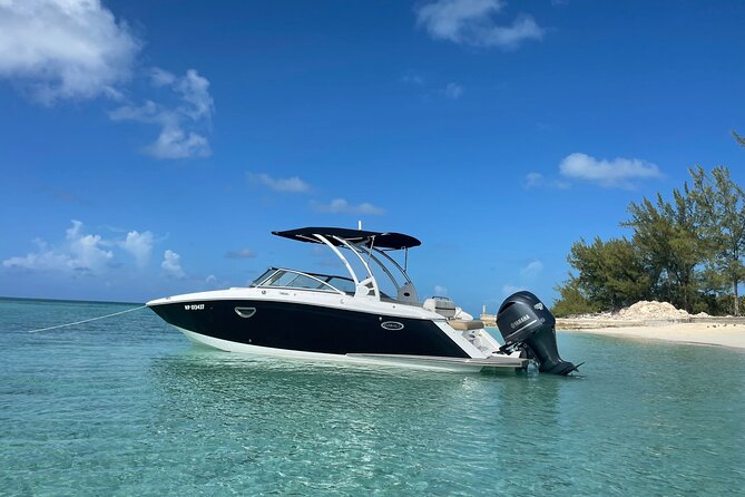 Half-Day Luxury Private Rose Island Pigs and Turtles Excursion - A private start from Bayshore Marina