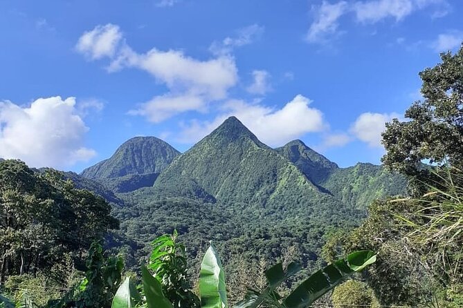Half-Day Nature and Panorama Tour in Martinique - Key points to know before you book
