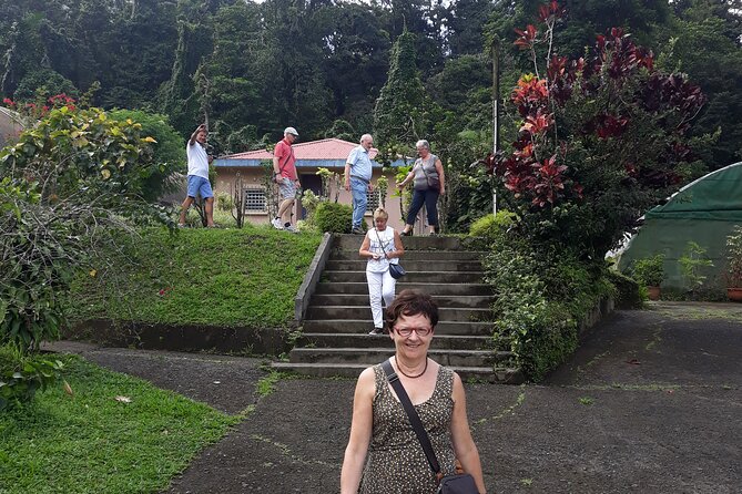 Half-Day Nature and Panorama Tour in Martinique - Depaz rum and the memory of Saint-Pierre