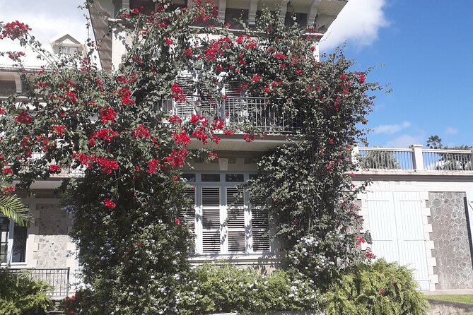 Half-Day Nature and Panorama Tour in Martinique - What $131.27 buys you