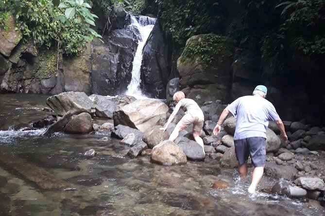 Half-Day Nature and Panorama Tour in Martinique - The Route de la Trace and a rainforest waterfall
