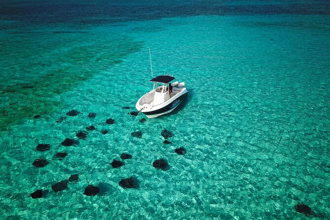 Half Day Private Boat Charter in Grand Cayman - Starting at Camana Bay and getting on the boat