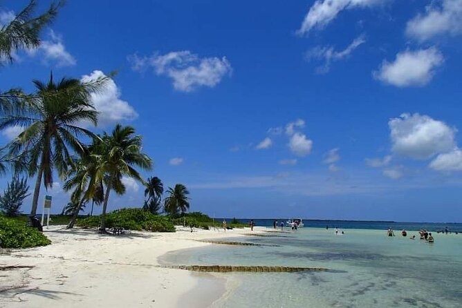 Half Day Private Boat Charter in Grand Cayman - Snorkeling at one or two reef sites