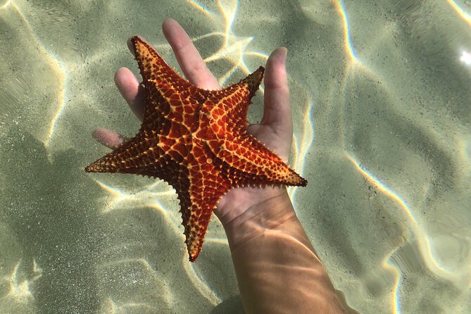 Half Day Private Boat Charter in Grand Cayman - Captain Mark’s guiding style