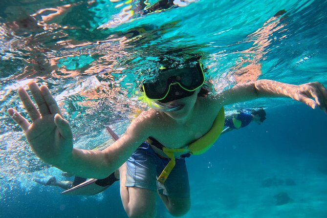 Half Day Private Boat Tour in Caicos Island - Little Water Cay and its rock iguanas