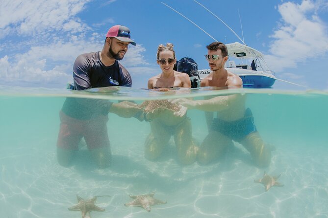 Half-Day Private Stingray City Charter - Grand Cayman - BTC - What the $1,300 price really buys