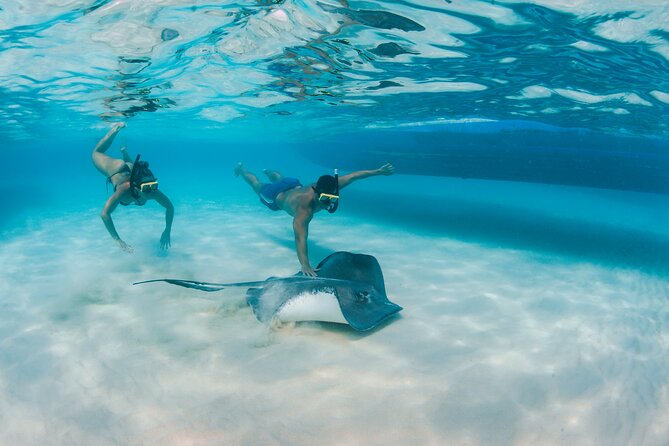Half-Day Private Stingray City Charter - Grand Cayman - BTC - Timing, meeting point, and weather