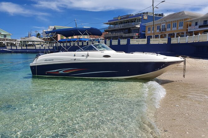 Half-Day Private Stingray City Charter in Cayman Islands - Key points to know before you book