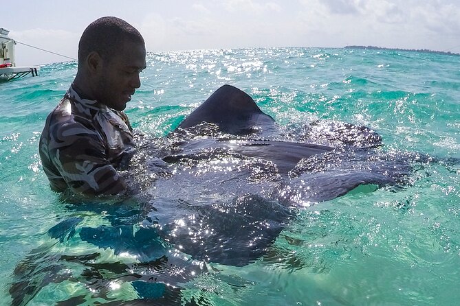 Half-Day Private Stingray City Charter in Cayman Islands - The reef stop adds more than a quick photo opportunity