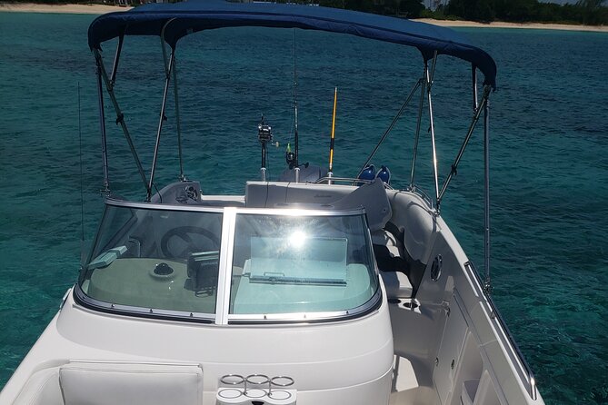 Half-Day Private Stingray City Charter in Cayman Islands - Stingray City: the main event at the North Sound sandbar