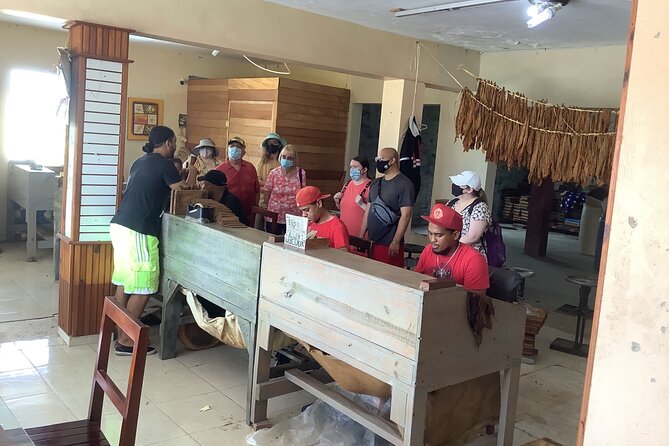 Half Day Private Tour in Dominican Republic with Local Guide - Macao Beach, weather permitting