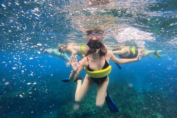 Half Day Snorkel from Providenciales with Visit to Half Moon Bay - Food, drinks, and what to pack