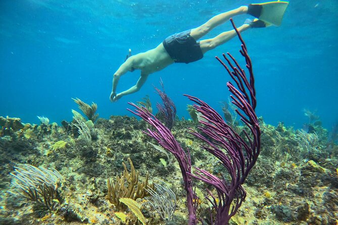 Half Day Snorkel from Providenciales with Visit to Half Moon Bay - Is $140 a fair price?