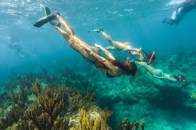 Half Day Snorkel from Providenciales with Visit to Half Moon Bay - Should you book the Half Day Snorkel from Providenciales?