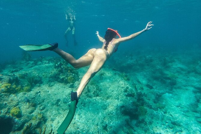 Half Day Snorkel from Providenciales with Visit to Half Moon Bay - Half Moon Bay and Little Water Cay
