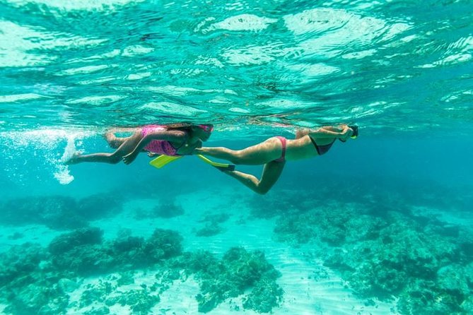 Half-Day Snorkel Sail Tour with Caribbean Lunch - Catalina Bay gives you an easy first swim