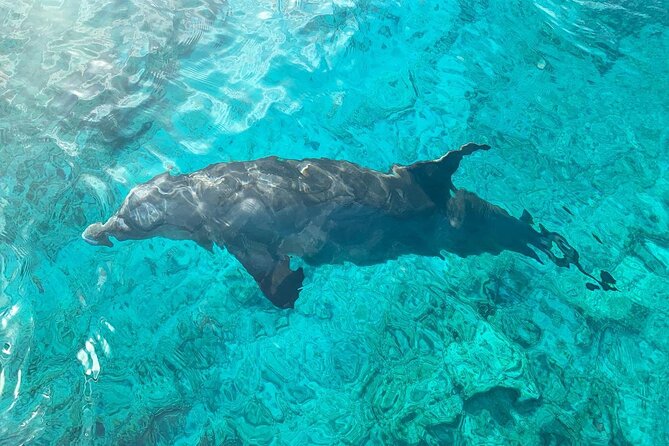 Half Day Snorkeling, Sightseeing & Island Hopping Private Charter (Afternoon) - Smith’s Reef and the flexible snorkeling plan