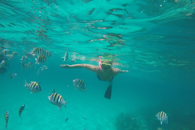 Half Day Swimming Pigs on Rose Island, Snorkeling and Lunch - Returning through Nassau Harbour